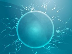 mitai apie sperma